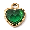 304 Stainless Steel Pendants STAS-Z199-02G-04-1