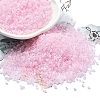 Transparent Colours Glass Seed Beads SEED-H003-01C-1