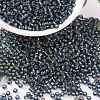 MIYUKI Round Rocailles Beads X-SEED-G008-RR2426-1