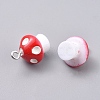 Autumn Theme Plastic Pendants KY-TAC0005-04E-1