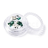 Nail Art Decoration Accessories Kits MRMJ-F016-01-2