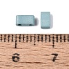 2-Hole Baking Paint Glass Seed Beads SEED-S023-17B-43-3