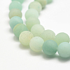 Natural Amazonite Bead Strands X-G-G684-03-10mm-3