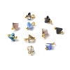 Electroplate Glass Charms PALLOY-JF00821-05-1