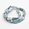 Natural Variscite Bead Strands G-P300-22-13x18mm-2