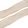 Sparkle Polyester Satin Ribbon SRIB-T009-04B-2