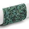 Natural Chrysocolla Beads Strands G-P514-A03-02-A-1