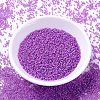 MIYUKI Delica Beads SEED-X0054-DB2049-2