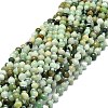 Natural Myanmar Jade Beads Strands G-E576-60-1