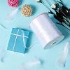 Double Face Satin Ribbon RC3mmY001-6