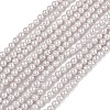 Electroplated Shell Pearl Beads Strands BSHE-G041-2mm-06-1