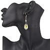 Handmade Glass Seed Beads Teardrop Dangle Earrings EJEW-MZ00576-04-3