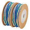 2 Rolls Segment Dyed Cotton Twisted String Cord OCOR-TA0002-95C-2