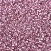MIYUKI Round Rocailles Beads SEED-X0054-RR1349-3