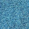 MIYUKI Round Rocailles Beads X-SEED-G007-RR2429-3