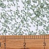MIYUKI Delica Beads X-SEED-J020-DB2165-4