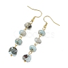 Natural Larimar Dangle Earrings EJEW-JE07529-4