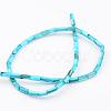 Natural Shell Bead Strands BSHE-P016-M-3
