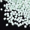 8/0 Two Cut Glass Seed Beads SEED-S033-06A-02-2