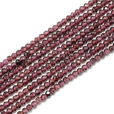 Natural Garnet Beads Strands G-S152-03-2mm-1