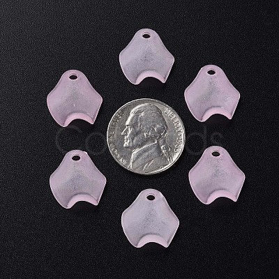 Transparent Acrylic Beads MACR-S373-106-D05-1