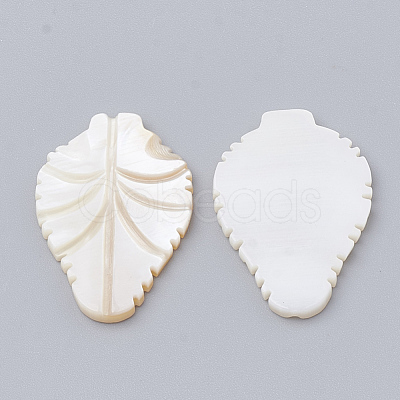 Freshwater Shell Cabochon SHEL-Q020-14B-1