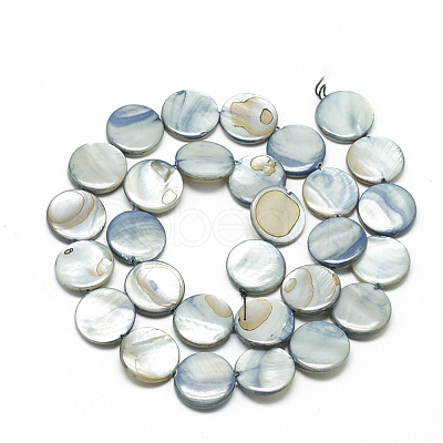 Natural Shell Beads Strands X-PBB251Y-3-1