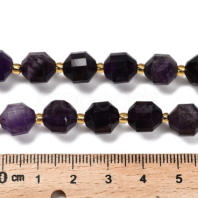 Natural Amethyst Beads Strands G-P568-B01-01-1