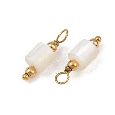Natural Freshwater Shell Pendants SH-CBA5EEC-14G-1