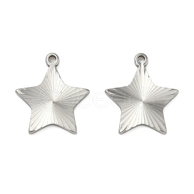 304 Stainless Steel Pendants STAS-C167-08G-P-1