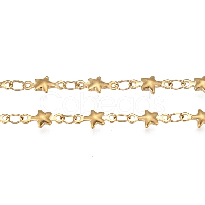 304 Stainless Steel Link Chains STAS-P219-74G-1