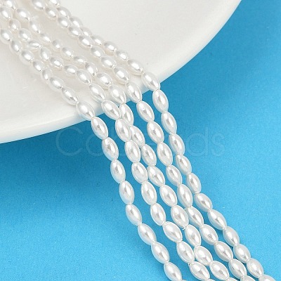 Electroplated Shell Pearl Beads Strands BSHE-Z009-10B-1