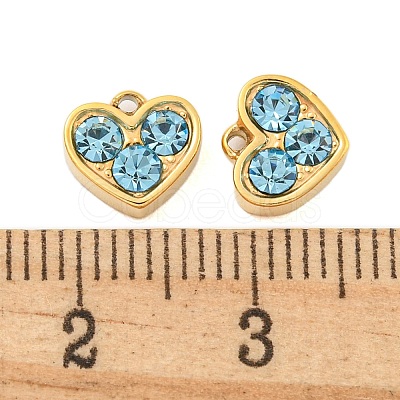 304 Stainless Steel Pendants STAS-L080-001G-02-1
