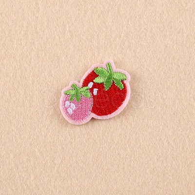Computerized Embroidery Cloth Iron on/Sew on Patches LS-DIY-F038-E03-1