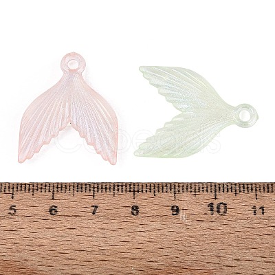 Transparent Plastic Pendants KY-N025-61-1