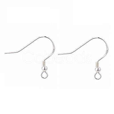 925 Sterling Silver Earring Hooks STER-K167-050S-1