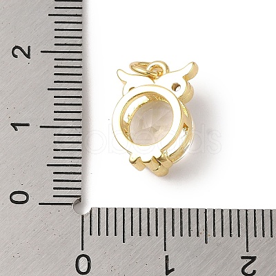 Rack Plating Brass Micro Pave Clear Cubic Zirconia Charms KK-B092-27G-1