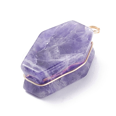 Natural Gemstone Pendants PALLOY-JF01403-1