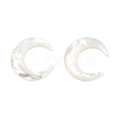 Natural White Shell Connector Charms SSHEL-N034-159-1
