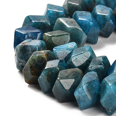 Natural Apatite Beads Strands G-N327-05-06-1