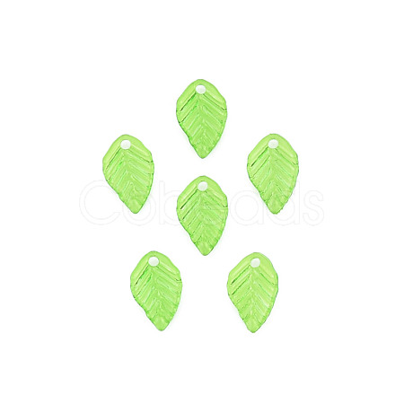 Transparent Acrylic Charms TACR-T012-04-1