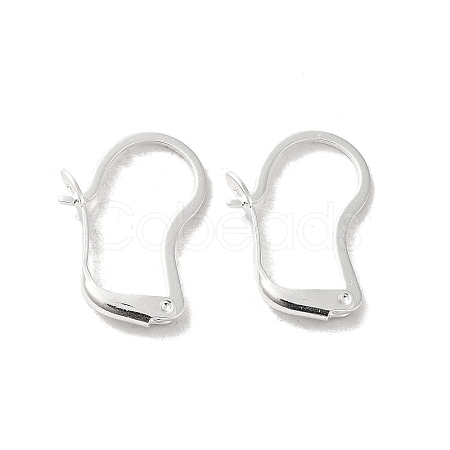 Brass Hoop Earring Findings FIND-Z039-30S-1