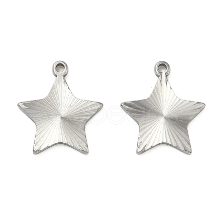 304 Stainless Steel Pendants STAS-C167-08G-P-1