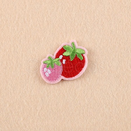 Computerized Embroidery Cloth Iron on/Sew on Patches LS-DIY-F038-E03-1