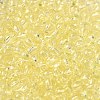 Transparent Colours Glass Seed Beads SEED-P007-02A-03-3
