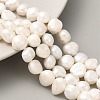 Natural Cultured Freshwater Pearl Beads Strands PEAR-A006-09A-1