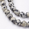 Natural Dalmatian Jasper Stone Bead Strands G-R193-14-6mm-3