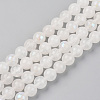 Electroplated Natural White Moonstone Beads Strands X-G-S369-012C-C-1