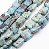 Natural Variscite Bead Strands G-P300-22-13x18mm-1
