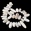 Natural Moonstone Beads Strands G-M408-D03-3
